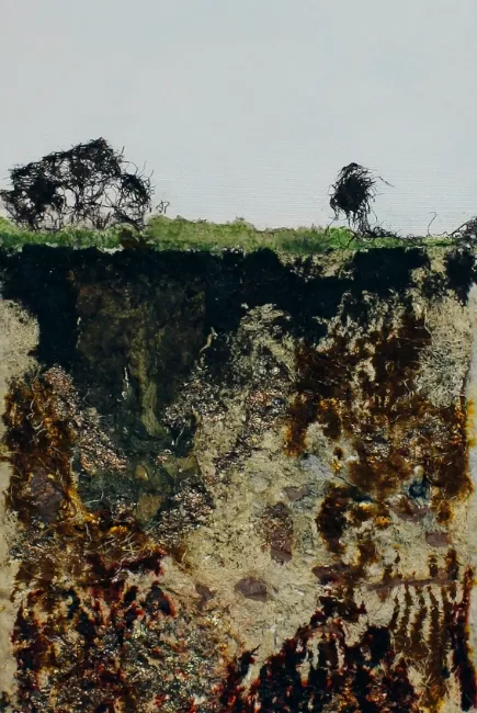 Philippe Cardillo, Paysage, papier de plantes sur plexiglas